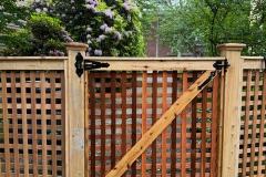 Square Lattice Gate