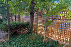 All-Square-Lattice-2