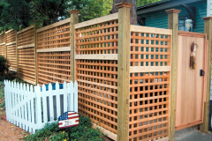 All-Square-Lattice