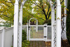 arbors-and-halos