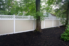 Tan-and-White-Privacy-with-Diagonal-Lattice